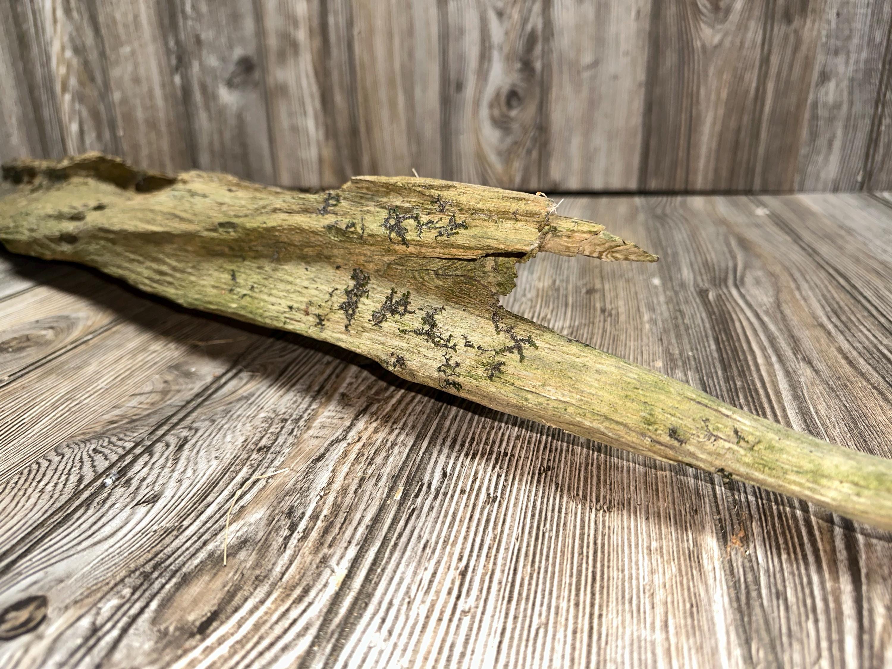 Tree Limb, Branch End, Driftwood, Approximately 45 Inches Long by 5 Inches Wide and 2 Inches Tall