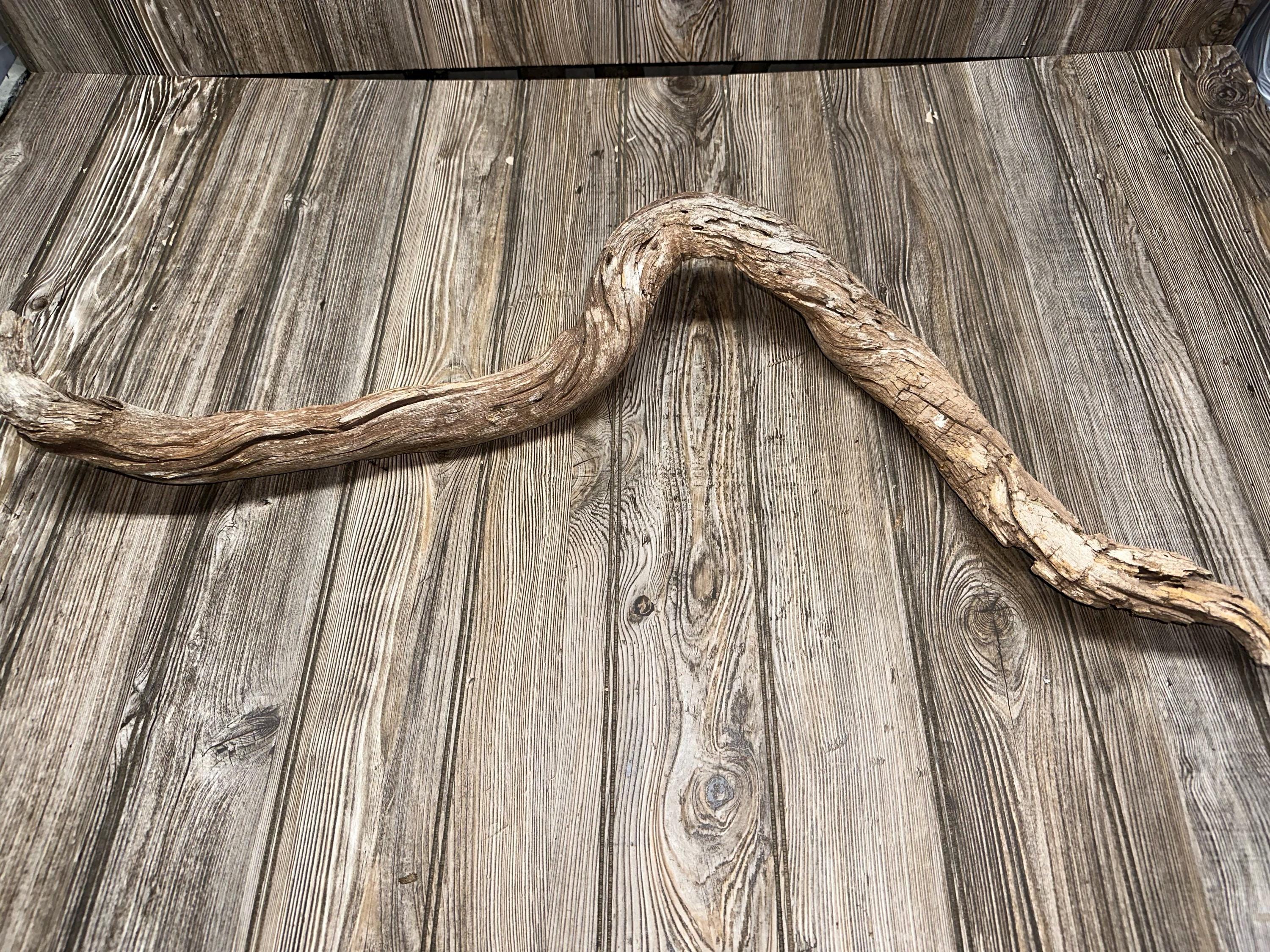Curved Tree Limb, Branch End, Driftwood, Approximately 34 Inches Long by 2 Inches Wide and 2 Inches Tall